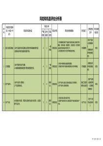 风险和机遇评估分析表