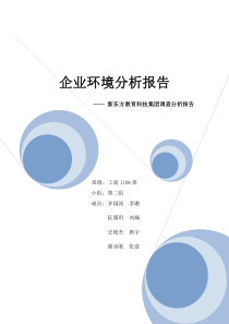 企业环境分析报告新东方教育科技集团调查分析报告