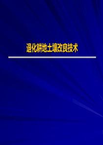 6壳牌气化技术及其在中国的发展