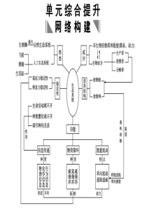 人教版教学课件2011高考生物一轮复习课件：必修3 第5章 生态系统及其稳定性 单元综合提升ppt