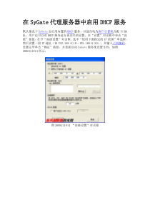 在SyGate代理服务器中启用DHCP服务