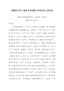 在集团公司小金库专项治理工作动员会上的讲话