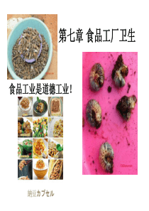 李洪军版食品工厂设计-11第七章食品工厂卫生