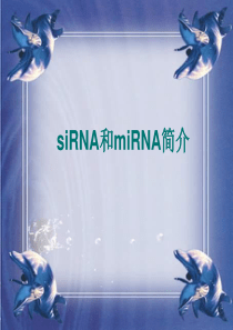 siRNA和miRNA简介