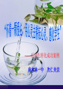 【ppt】后进生转化.ppt次央