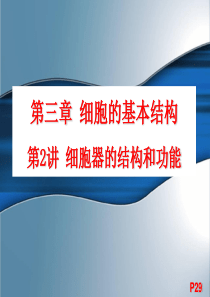 [史上最强生物课件]第3章 复习细胞器、细胞核的结构和功能  2010.8.31