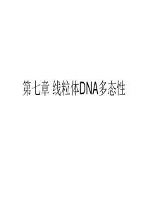 第七章线粒体DNA多态性