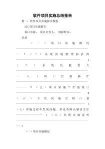 软件项目实施总结报告