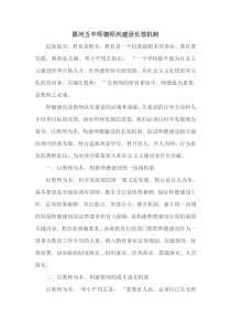 师德师风建设长效机制