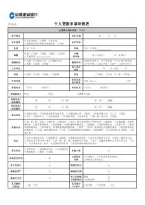 个人贷款申请申报表