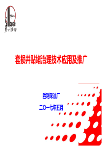 套损井贴堵治理技术应用及推广