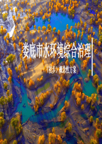 娄底市水环境综合治理文本（PDF66页）