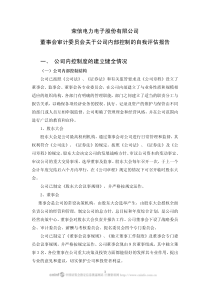 荣信电力电子股份有限公司董事会审计委员会关于公司内部控制的自