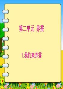 苏教版科学四年级下册《我们来养蚕》PPT课件1