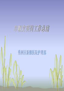 巾帼文明岗工作总结(XXXX年)