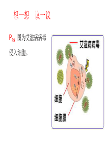 八上生物病毒课件-新人教版(公开课)