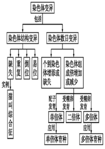 一轮复习染色体变异与育种