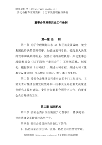 董事会战略委员会工作条例(1)