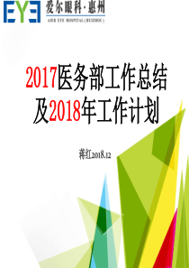 年医务部工作总结及年工作计划(终)（PPT47页)