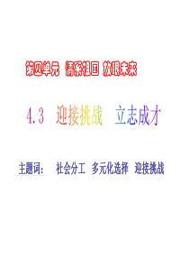 粤教版九年级全册第四单元 情系中华 放眼未来4.3迎接挑战,立志成才第一课时