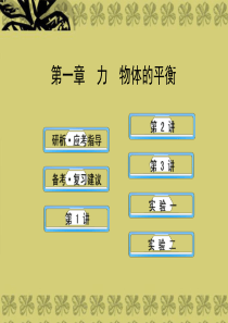 【全程复习】(广西专用)(广西专用)2014年高考物理一轮复习 1力 物体的平衡课件 新人教版