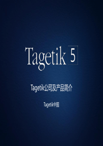 Tagetik公司及产品简介