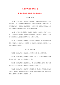 董事会薪酬与考核委员会实施细则指引