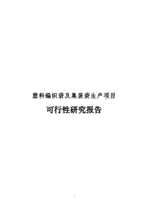 年产600吨包装塑料编织袋及集装袋生产项目可行性研究报告