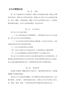 分公司管理办法