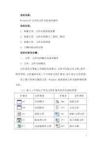 5Windows文件和文件夹的基本操作