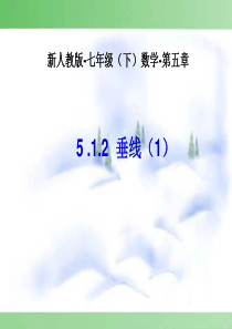 5[1].1.2垂线(1)