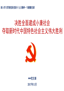 十九大精神微党课(fa)