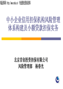 中小企业信用担保机构风险管理体系构建及小额贷款担