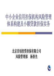 中小企业信用担保机构风险管理体系构建及小额贷款担保...