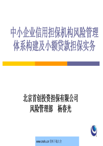 中小企业信用担保机构风险管理体系构建及小额贷款担保实务--haventan