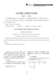 CLT酸工业现状与发展