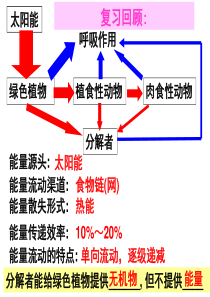 上课用生态系统的物质循环