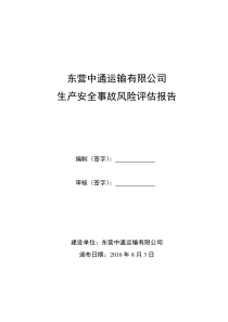 中通安全风险评估报告