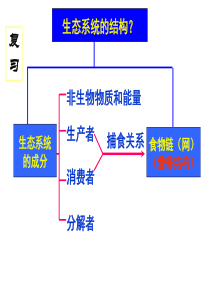 非常好的教学课件5.2 《生态系统的能量流动》教学课件