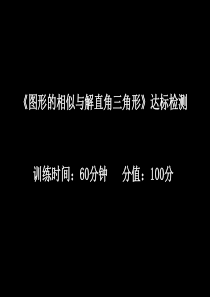 2012年中考数学提分精讲 《图形的相似与解直角三角形》达标检测