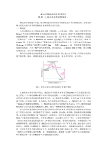 酶的质量标准研究指导原则