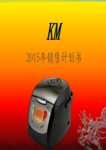 KM电器销售计划书