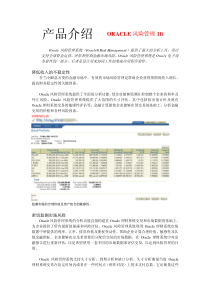 产品介绍ORACLE风险管理11i