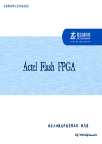 Actel-FPGA讲稿(cost-free)