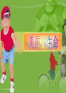 美丽的生命 课件