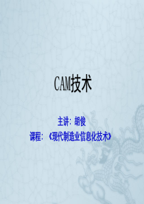 CAM技术