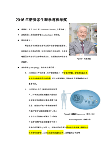 2016年诺贝尔生理学与医学奖介绍