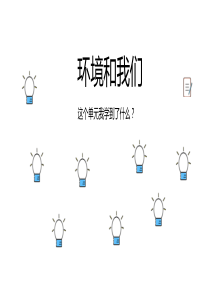 教科版科学六年级下册第四单元复习