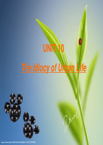 Unit-10-课件The-Idiocy-of-Urban-Life