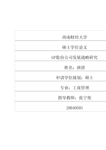 GF股份公司发展战略研究